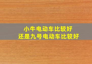 小牛电动车比较好 还是九号电动车比较好